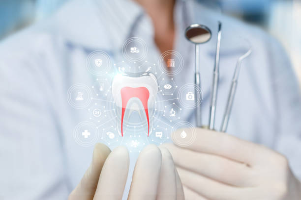 Trusted Harbor, OR Holistic Dental Care Services Experts